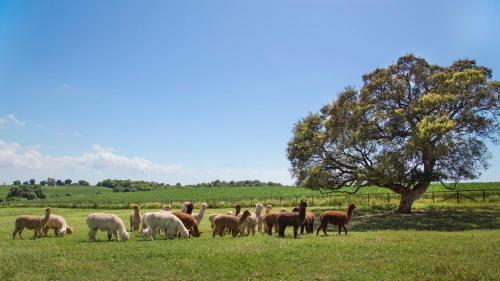 Agroturismo Agriturismo Piani Della Marina