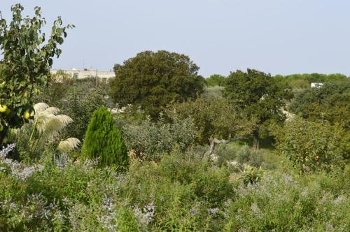 Bed & Breakfast Villa Lavanda