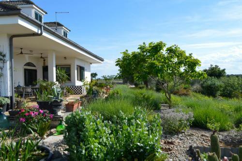 Bed & Breakfast Villa Lavanda
