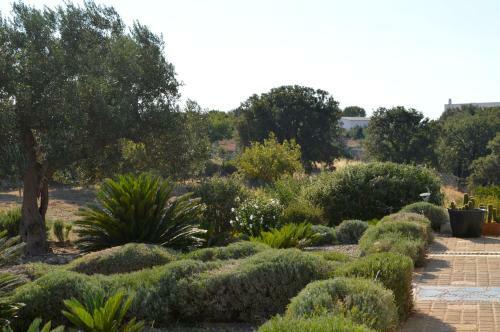 Bed & Breakfast Villa Lavanda