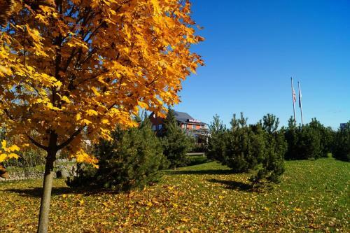 Motel Smagratis