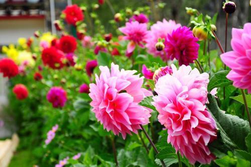 Posada Gesang Garden