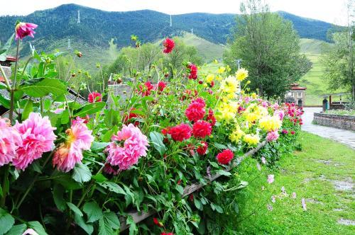 Posada Gesang Garden