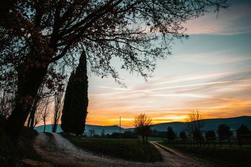 Agroturismo Casa Di Campagna In Toscana
