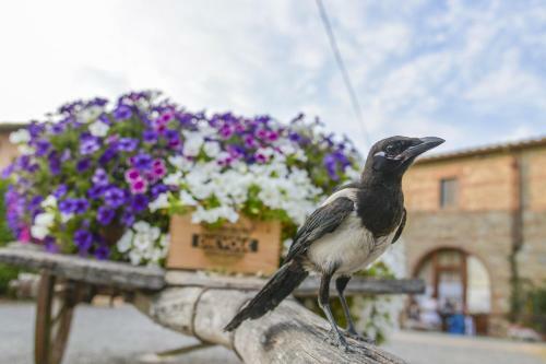 Agroturismo Casa Di Campagna In Toscana