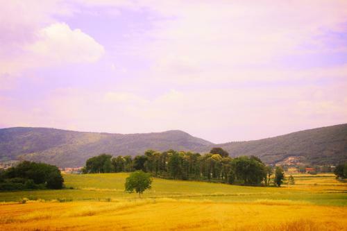 Agroturismo Casa Di Campagna In Toscana