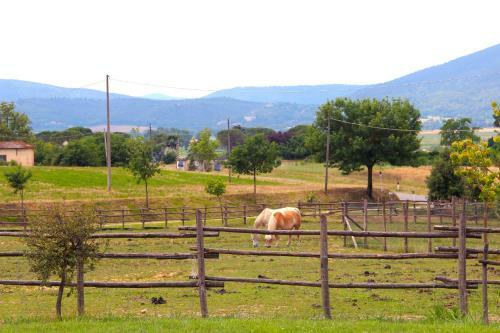 Agroturismo Casa Di Campagna In Toscana