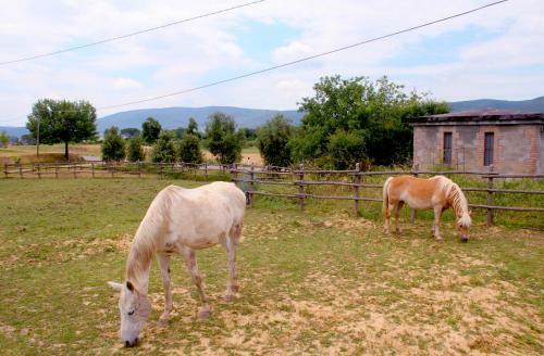 Agroturismo Casa Di Campagna In Toscana