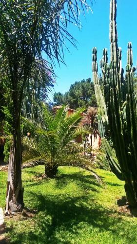 Posada Hacienda Monte Sol