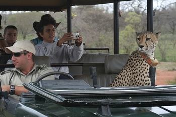 Tshukudu Game Lodge