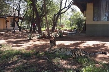Tshukudu Game Lodge