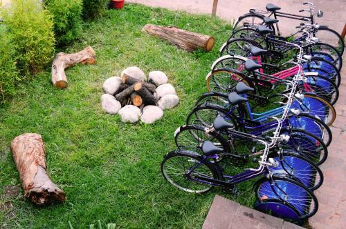 Hostal Mallki Hostel