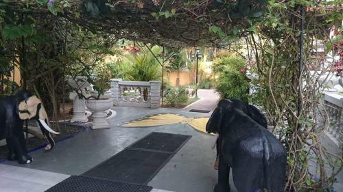 Hostal Villa Butterfly