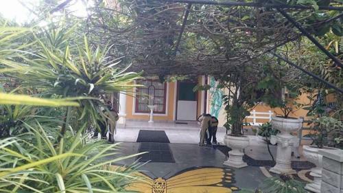 Hostal Villa Butterfly