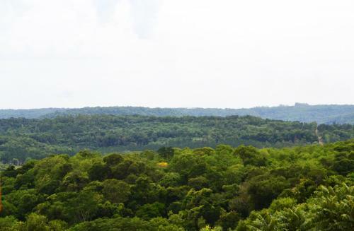 Amaraka Lodge
