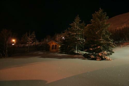 Hostal The Herring Guesthouse
