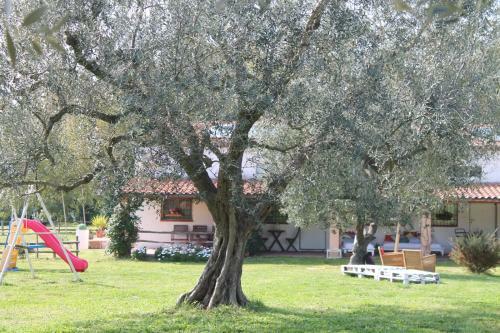 Agroturismo Borgo S.maria Di Vulci