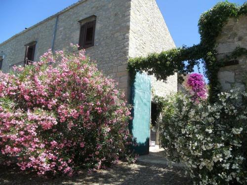 Hostal Agriturismo Ridocco