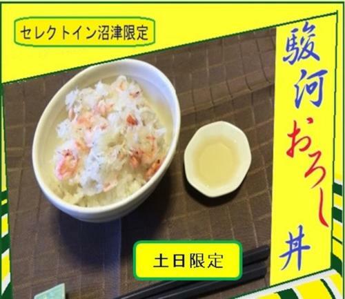 Hotel Select Inn Numazu