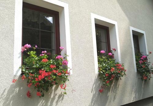 Hostal Penzion Vital