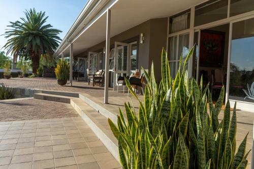Hostal Aloe Manor