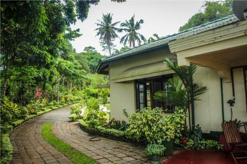 Agroturismo Ancoombra Tea Estate Bungalow