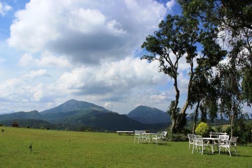 Agroturismo Ancoombra Tea Estate Bungalow