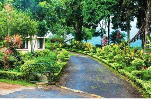 Agroturismo Ancoombra Tea Estate Bungalow
