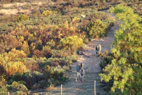 Hotel Bo Kouga Mountain Retreat