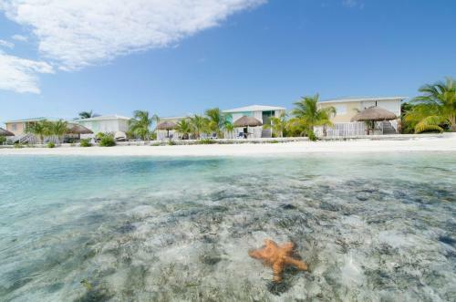 Hotel Royal Palm Island Resort