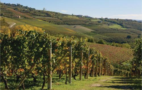 Cascina Nebbia