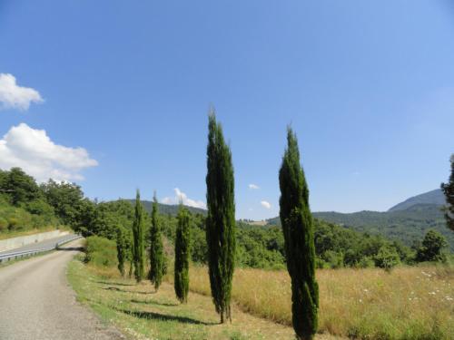 Agroturismo Borgo Petraio