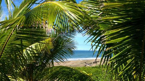 Villa Del Sol B&B Boutique