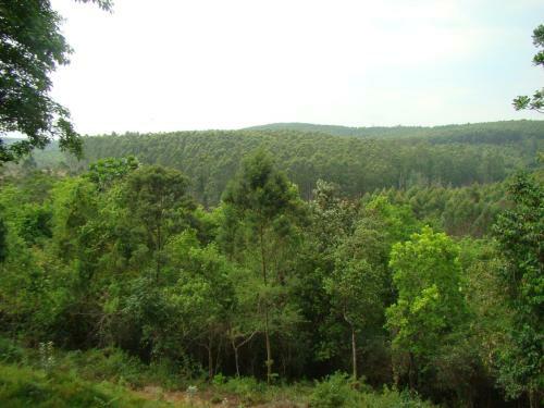 Hostal Mulberry Lane