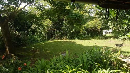 Hostal Mulberry Lane