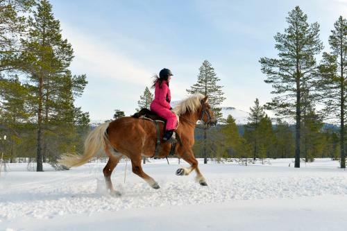 Pernilla Wiberg Hotel