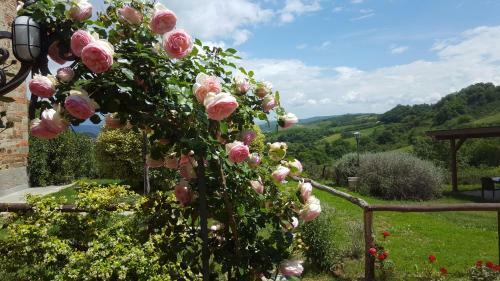 Agroturismo Agriturismo Dimore Di Poggianto