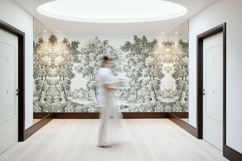 Hotel The Merrion