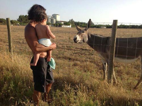 Agroturismo Herdade Do Sardanito Da Frente