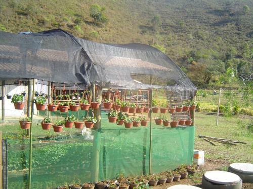 Agroturismo Est�ncia Maca�bas