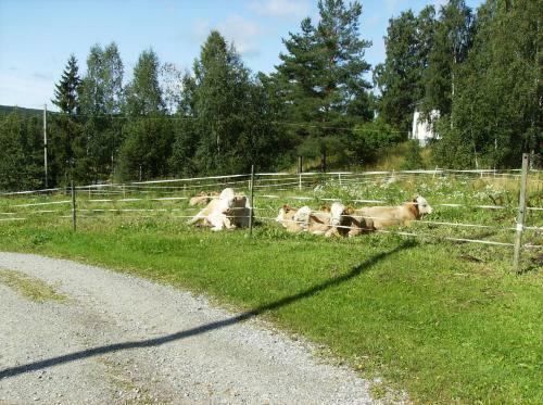 Agroturismo T�ljeg�rden Lantg�rdshotell