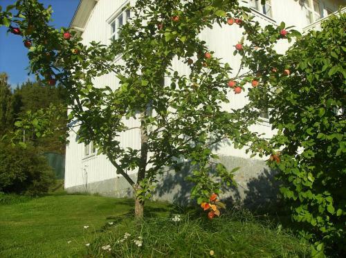 Agroturismo T�ljeg�rden Lantg�rdshotell