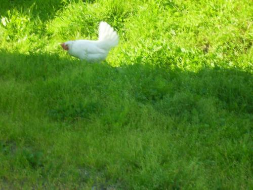 Agroturismo T�ljeg�rden Lantg�rdshotell