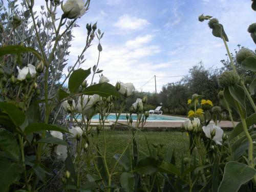 Apartamento Casa Vacanze La Ginestra