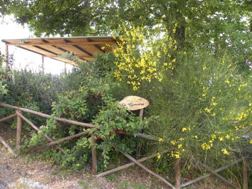 Apartamento Casa Vacanze La Ginestra