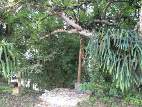 Hostal Cerro Lobo