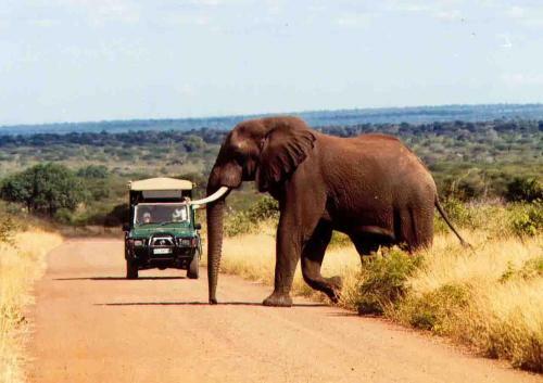 Hotel Bushwise Safari Lodge