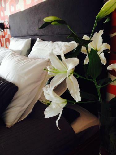 Przystanek Mdm Bed&breakfast