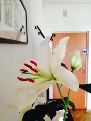 Przystanek Mdm Bed&breakfast