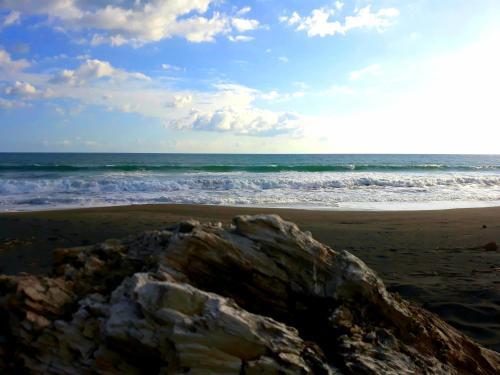 Hotel Las Olas Beach Resort